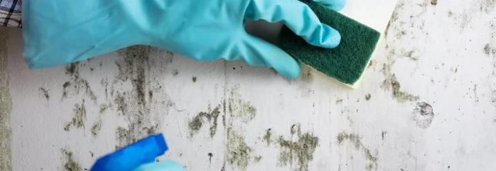 Person reinigt Wand mit Schwamm